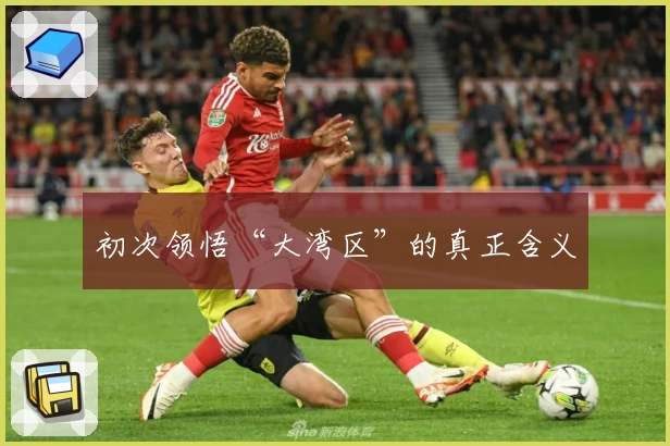 初次领悟“大湾区”的真正含义