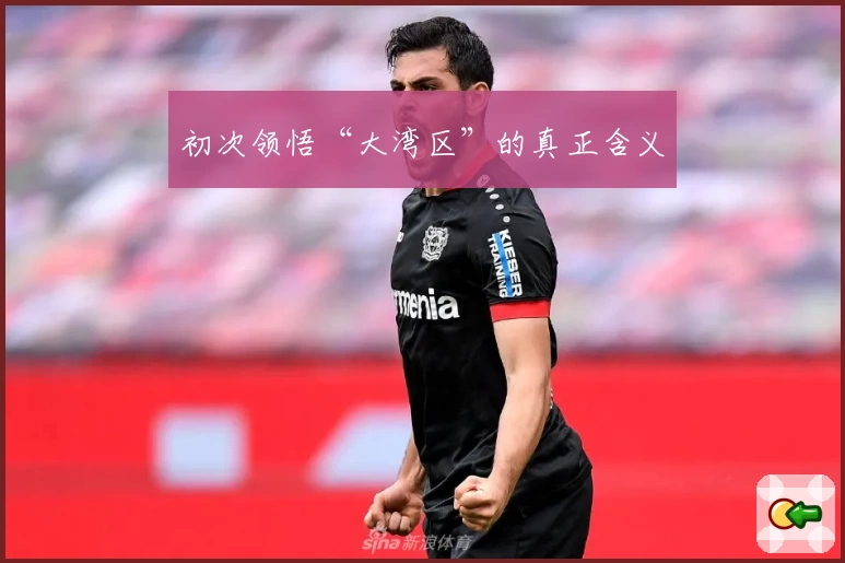 初次领悟“大湾区”的真正含义