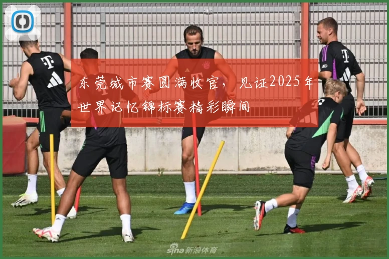 东莞城市赛圆满收官，见证2025年世界记忆锦标赛精彩瞬间