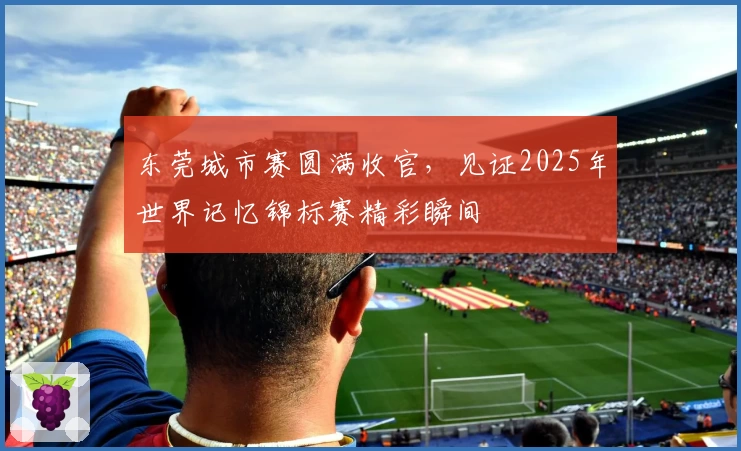 东莞城市赛圆满收官，见证2025年世界记忆锦标赛精彩瞬间