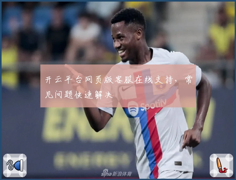 开云平台网页版客服在线支持，常见问题快速解决