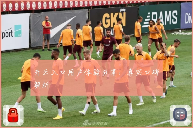 开云入口用户体验分享，真实口碑解析