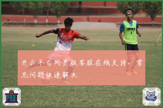 开云平台网页版客服在线支持，常见问题快速解决